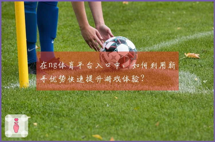 在ng体育平台入口中，如何利用新手优势快速提升游戏体验？