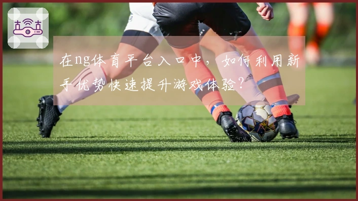 在ng体育平台入口中，如何利用新手优势快速提升游戏体验？