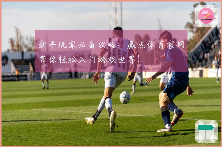新手玩家必备攻略，赢点体育官网带你轻松入门游戏世界！