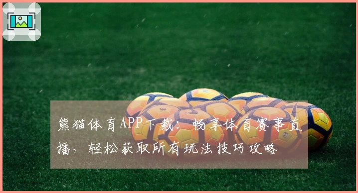 熊猫体育APP下载：畅享体育赛事直播，轻松获取所有玩法技巧攻略